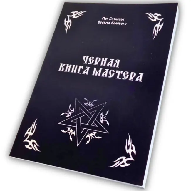 Книга - Чорна книга майстра (Олександр Контаністов)