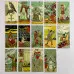 Карти Таро - Наслідків, After Tarot