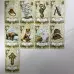 Карти Оракул - Cтарий стиль Ленорман, Old Style Lenormand