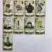 Карти Оракул - Cтарий стиль Ленорман, Old Style Lenormand