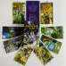 Карти Таро - Язичницьке, Pagan Tarot