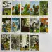 Карти Таро - Язичницьке, Pagan Tarot