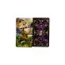 Карти Таро - Мудрість Елементалей (The Elemental Wisdom Tarot)
