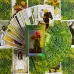 Карти Таро - Шлях Сновидінь, зменшена (Dreaming Way Tarot)