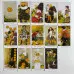 Карти Таро - Шлях Сновидінь, зменшена (Dreaming Way Tarot)
