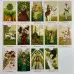 Карти Таро - Білого Божества, зменшена (White Numen Tarot)