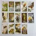 Карти Таро - Дикого лісу, зменшена (Wild Wood Tarot)