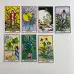 Карти Таро - Трав, зменшена (Herbal Tarot)