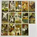 Карти Таро - Мудрої Собаки, зменшена (Wise Dog Tarot)