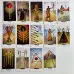 Карти Таро - Польове Таро, зменшена (The Field Tarot)