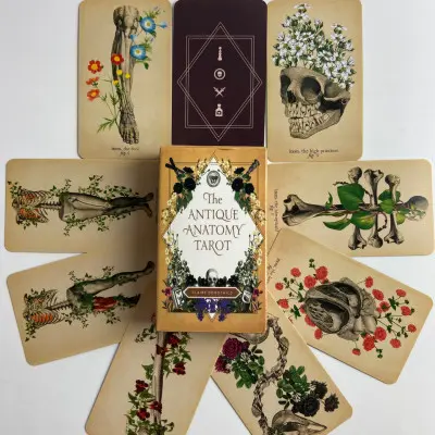 Карти Таро - Античної Анатомії, зменшена (Antique Anatomy Tarot)