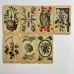 Карти Таро - Античної Анатомії, зменшена (Antique Anatomy Tarot)