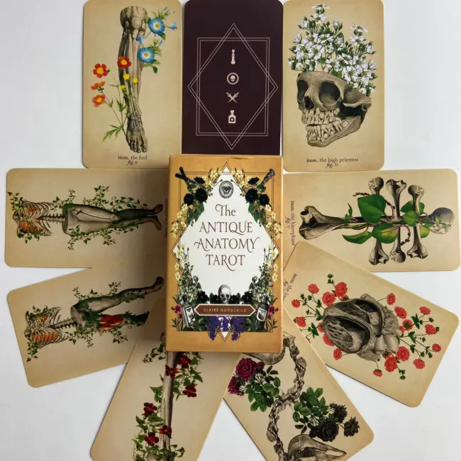 Карти Таро - Античної Анатомії, зменшена (Antique Anatomy Tarot)