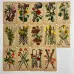 Карти Таро - Античної Анатомії, зменшена (Antique Anatomy Tarot)