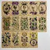Карти Таро - Античної Анатомії, зменшена (Antique Anatomy Tarot)