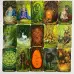 Карти Таро - Зачарованого лісу, зменшена (Forest of Enchantment Tarot)