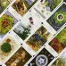 Карти Таро - Травника, зменшена (The Herbcrafter’s Tarot)