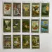Карти Таро - 1001 ніч, зменшена (Tarot of the Thousand and One Nights)