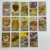 Карти Таро - Їжі, зменшена (Food Fortunes Tarot)