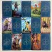 Карти Таро - Сучасного Заклинача, зменшена (Modern Spellcasters Tarot)