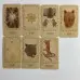 Карти Таро - Дикий Вовк, зменшена (The Wild Wolf Tarot)