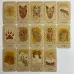 Карти Таро - Дикий Вовк, зменшена (The Wild Wolf Tarot)