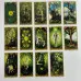 Карти Таро - Нічного Сонця, зменшена (Night Sun Tarot)