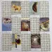 Карти Таро - Білого Шавлія, зменшена (White Sage Tarot)