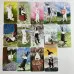 Карти Таро - Кроликів, зменшена (The Rabbit Tarot)