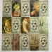 Карти Таро - Остара, зменшена (Ostara Tarot)
