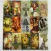 Карти Таро - Остара, зменшена (Ostara Tarot)