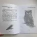 Книга - Сущі. На допомогу Відьмі та Ведуну (Олена Полин)