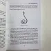 Книга - Чаклунської сили (Девін Хантер)