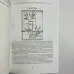Книга - Ніж відьми (Джейсон Манкі)