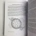 Книга - Вівтар відьми: ремесло, мудрість та магія священного простору (Джейсон Манкі, Лаура Закрофф)