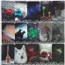 Карти Оракул - Гекати