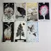 Карти Таро - Дике невідоме, The Wild Unknown Tarot (Кім Кран)
