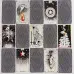 Карти Таро - Дике невідоме, The Wild Unknown Tarot
