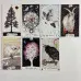 Карти Таро - Дике невідоме, The Wild Unknown Tarot